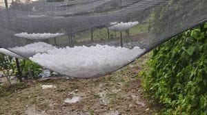 Sondrio, si contano i danni della grandine