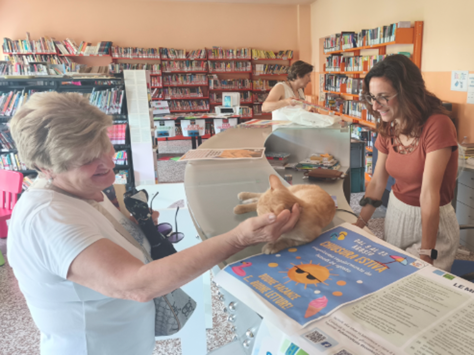 Valgreghentino, la gattina Dewey mascotte dei lettori