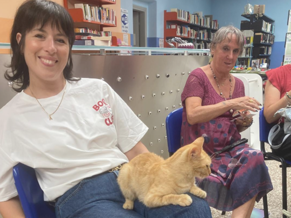 Valgreghentino, la gattina Dewey mascotte dei lettori