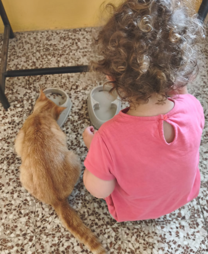 Valgreghentino, la gattina Dewey mascotte dei lettori