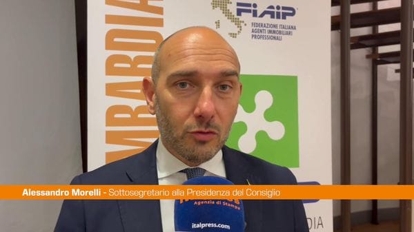 Immagine per italpress-z8xr