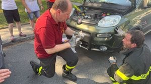 Grosio, salvato un gattino intrappolato nel motore di una Panda