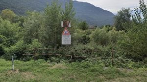 Morbegno: ricognizione medica sul corpo mummificato trovato nella boscaglia