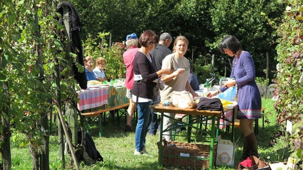 Agricoltura di montagna: Sondrio fa incetta di contributi