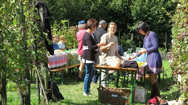 Agricoltura di montagna: Sondrio fa incetta di contributi