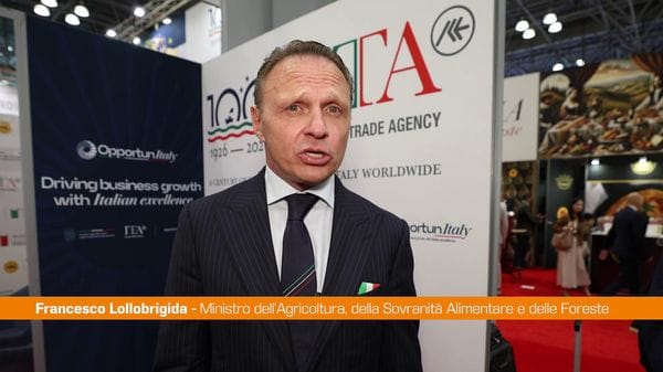 Immagine per italpress-pD71
