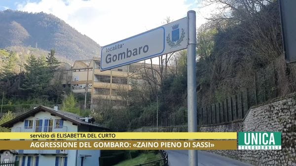Aggressione del Gombaro, il racconto di Catia 