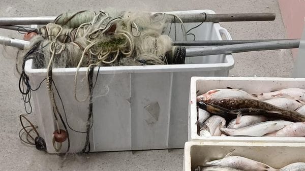 Pesca degli agoni, scatta la stagione. Ma arrivano già sequestri e multe