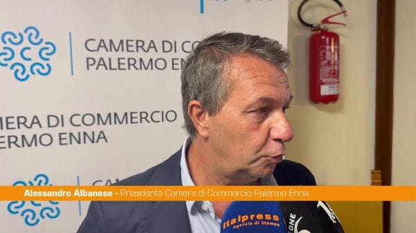 Immagine per italpress-lygj