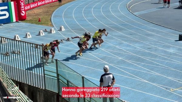 Immagine per italpress-vMp8
