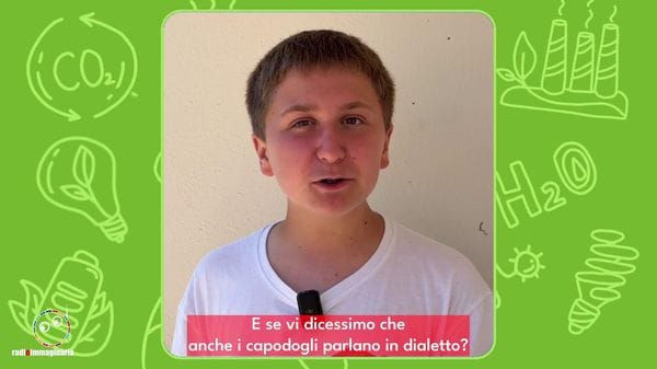 Immagine per italpress-LpVr