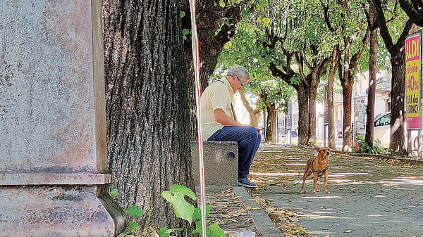 Dieta e sbalzi, le regole per il caldo