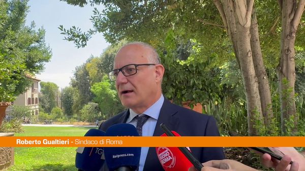 Immagine per italpress-1okm