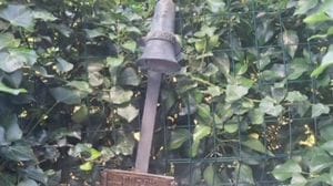 Perledo, vandalizzato il monumento ai Caduti di Tondello: identificati i sospetti