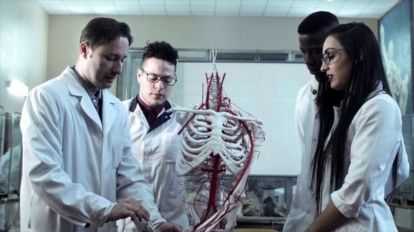 Immagine per italpress-LppX