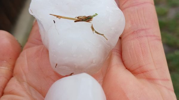 Chicchi di ghiaccio grandi come uova «È stato un disastro»