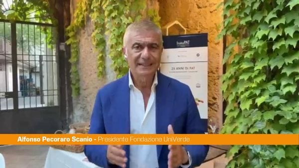Immagine per italpress-mzp9