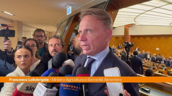 Immagine per italpress-wN4M