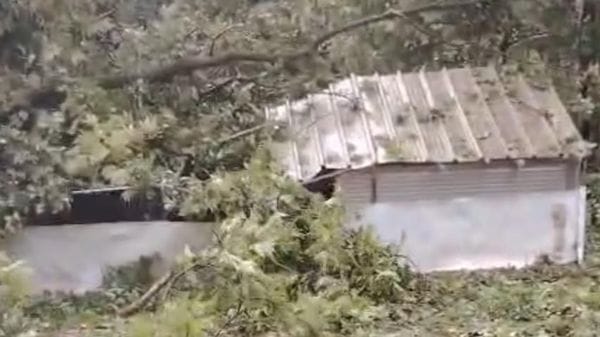 Calolzio: albero sradicato travolge un pollaio