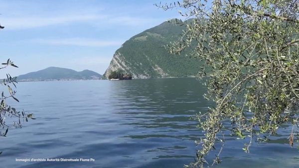 Immagine per italpress-XGOA
