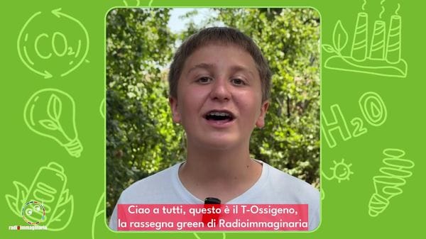 Immagine per italpress-wNLM