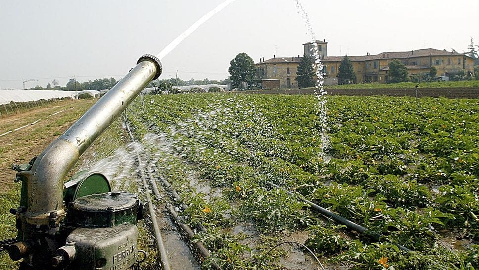 Lago di Como: 4 milioni di metri cubi d'acqua per l'agricoltura