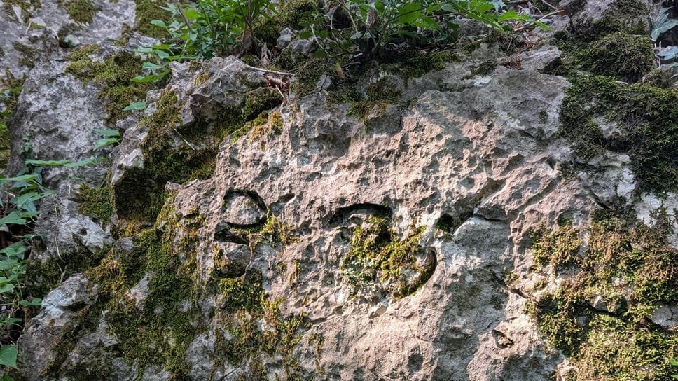 Spuntano sul Barro i fossili studiati dall’abate Stoppani