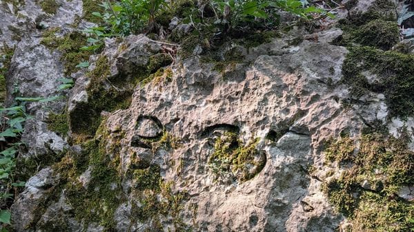 Spuntano sul Barro i fossili studiati dall’abate Stoppani