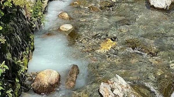 Sversamenti di siero nel Liro: nuovi campionamenti nel torrente