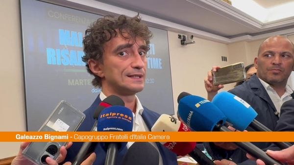 Immagine per italpress-nApR