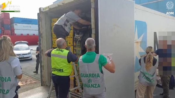 Immagine per italpress-mzoO