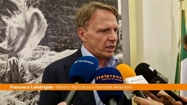 Immagine per italpress-BM5J