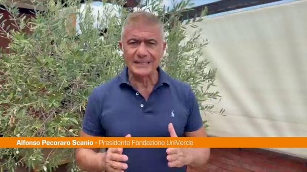 Immagine per italpress-WE4g