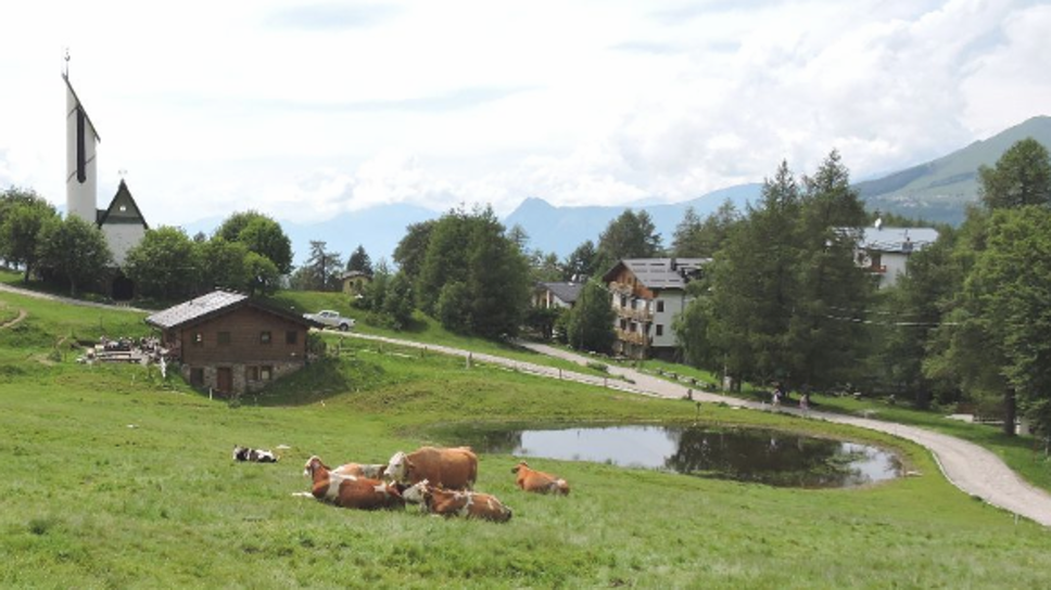 Montagna, il decalogo del buon escursionista: «Rispetto, prudenza e buon senso»