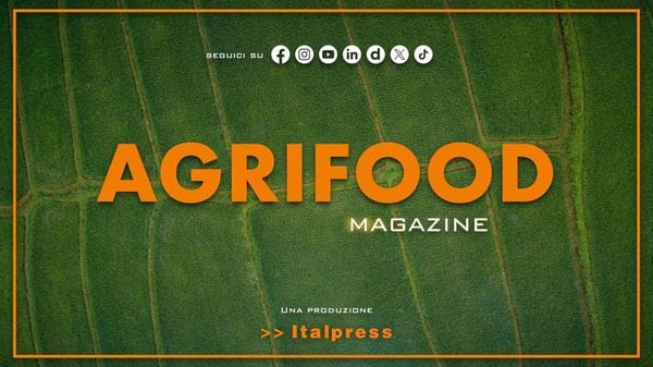 Immagine per italpress-BMz2