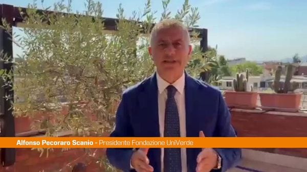Immagine per italpress-y4zg