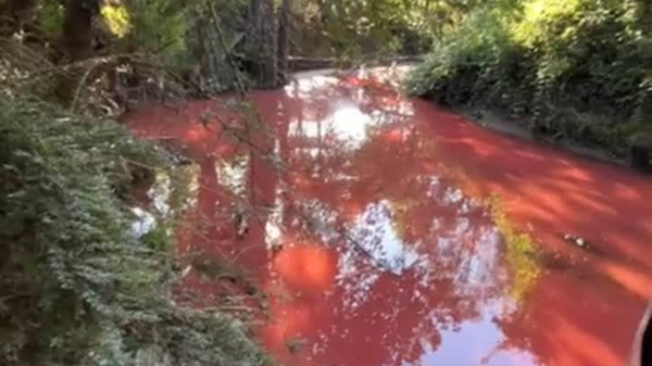 Missaglia, torrente si colora di rosso vivo: effettuati i rilievi per capire il perché
