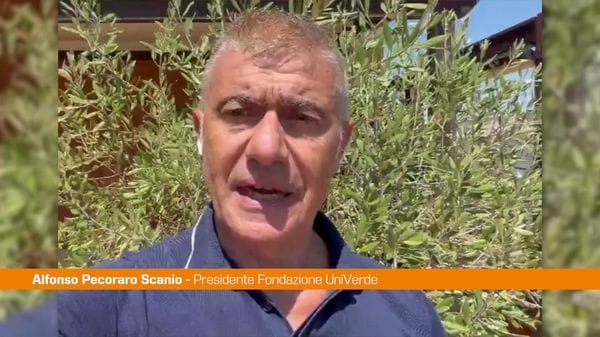 Immagine per italpress-7xNO