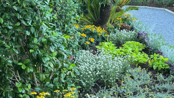 Villa Monastero: conclusi i lavori al giardino botanico