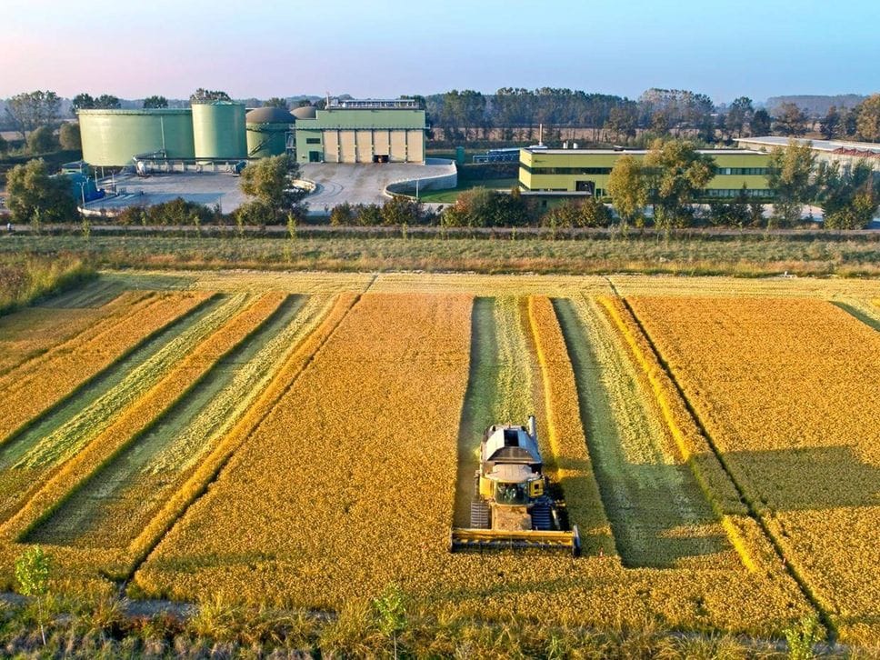 Lario Reti Holding e Acqua&amp;Sole: l’economia circolare che rigenera  il territorio