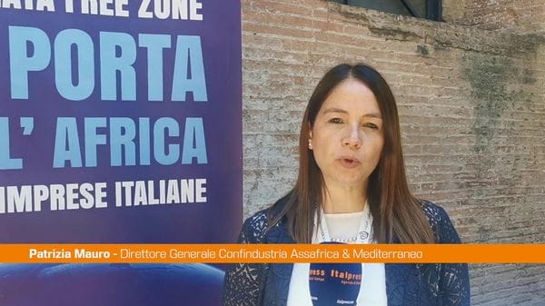 Immagine per italpress-ALl9
