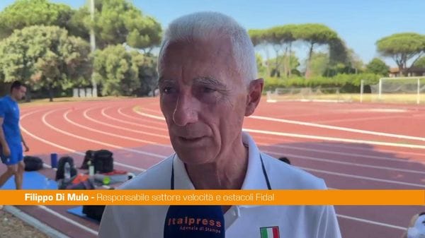 Immagine per italpress-kkQK