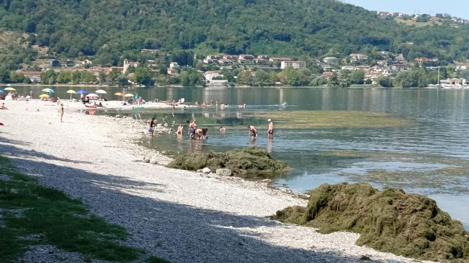 Vercurago, scatta il divieto di balneazione nel lago di Garlate