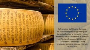 Immagine per ansa-d25756ac-61f0-408e-8d51-261fc4467c87