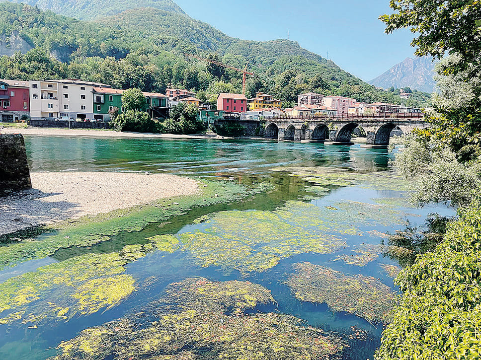 Lario e Adda, lotta alle alghe: in azione mezzi di terra