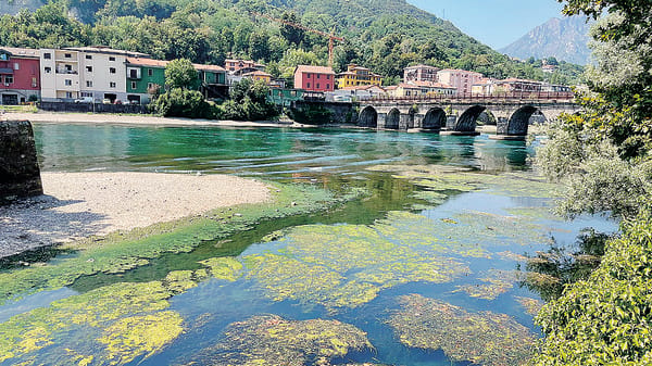 Lario e Adda, lotta alle alghe: in azione mezzi di terra