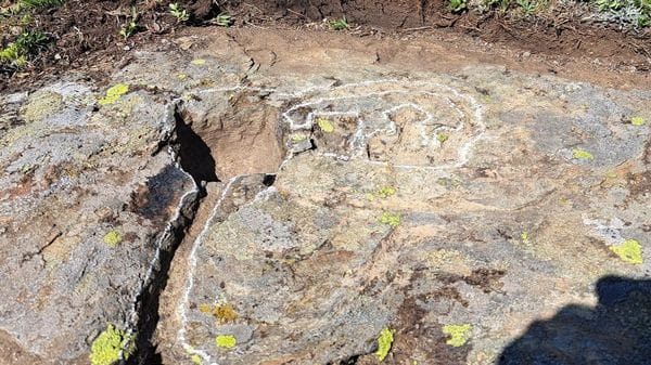 Nuove incisioni rupestri a Montespluga