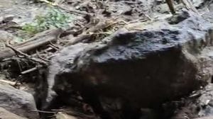 Smottamento a Rogolo: evacuati residenti per sicurezza