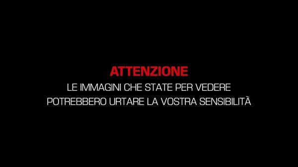 Immagine per italpress-8nog