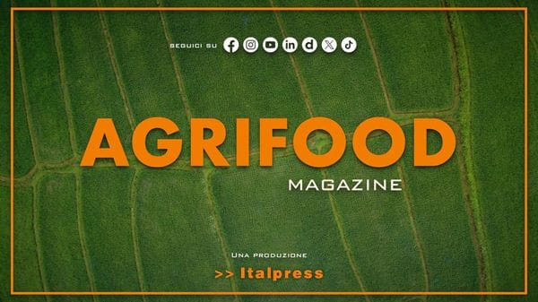 Immagine per italpress-jjnP